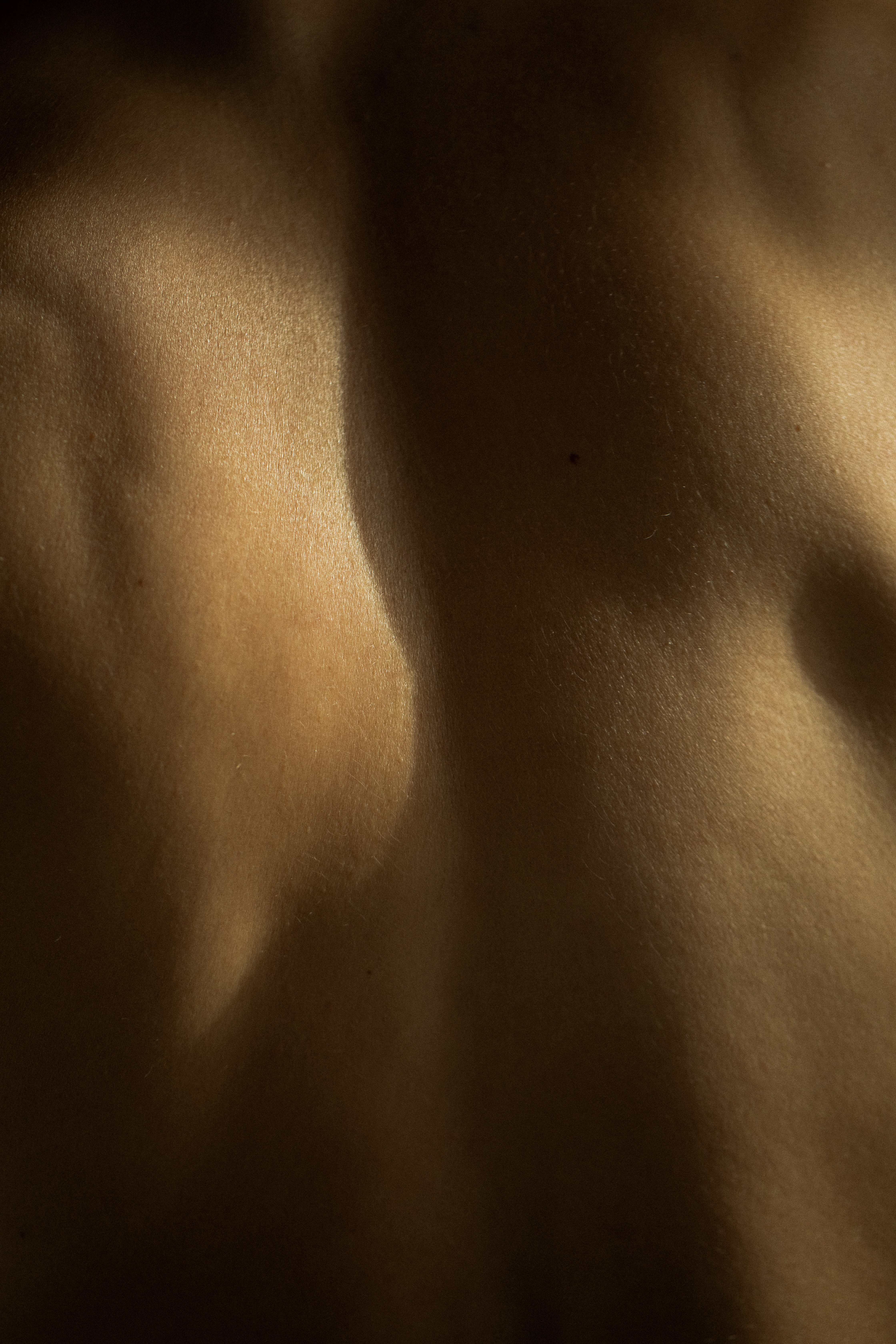 SKIN DESERT